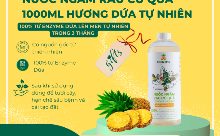 Nước Ngâm Rau Củ Quả 1L
