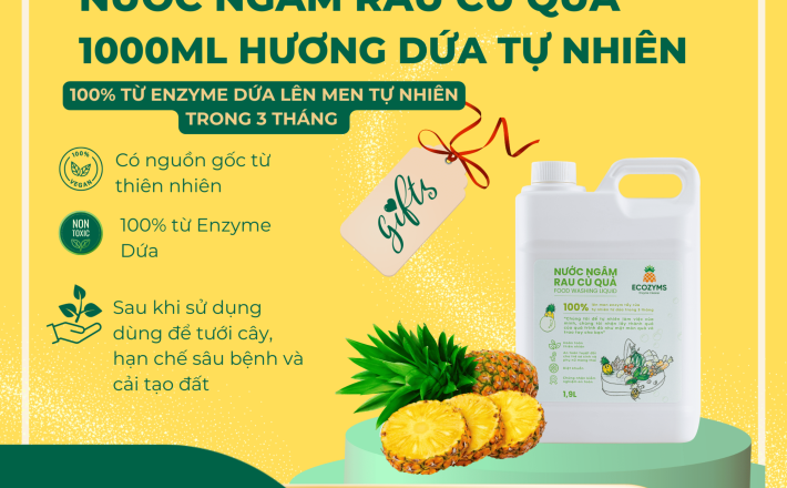 Nước Ngâm Rau Củ Quả 1L9