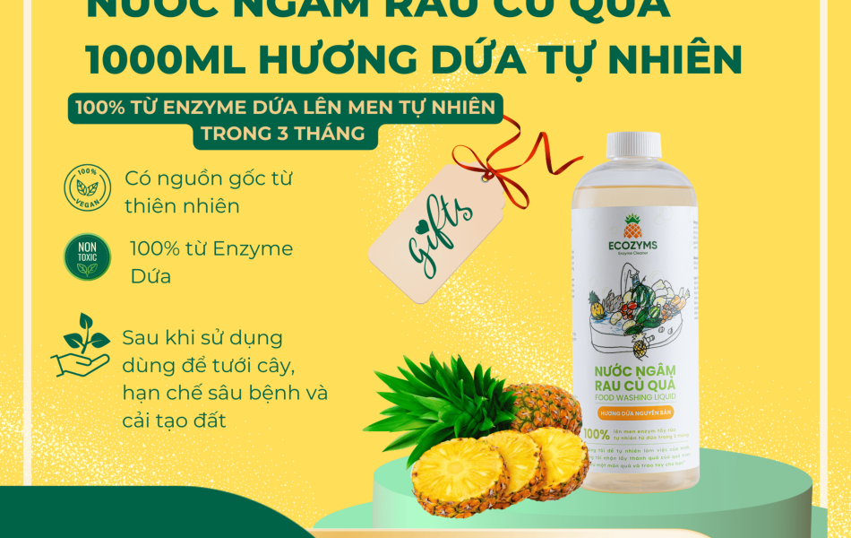 Nước Ngâm Rau Củ Quả 1L